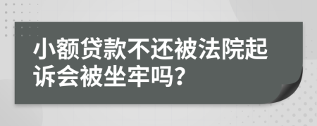 小额贷款不还被法院起诉会被坐牢吗？