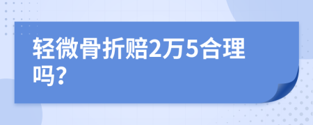 轻微骨折赔2万5合理吗？