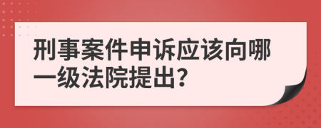 刑事案件申诉应该向哪一级法院提出？