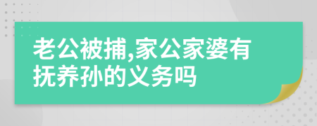 老公被捕,家公家婆有抚养孙的义务吗