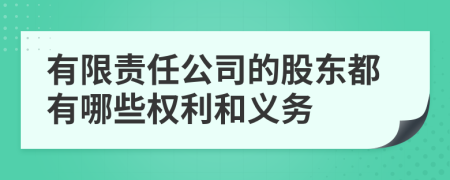 有限责任公司的股东都有哪些权利和义务