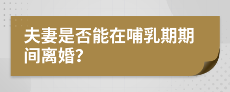 夫妻是否能在哺乳期期间离婚？