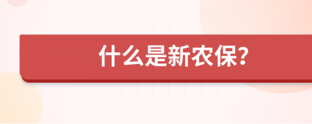 什么是新农保？