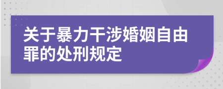 关于暴力干涉婚姻自由罪的处刑规定