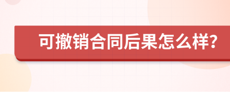 可撤销合同后果怎么样？