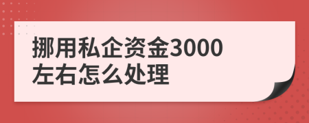 挪用私企资金3000左右怎么处理