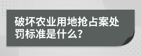 破坏农业用地抢占案处罚标准是什么？