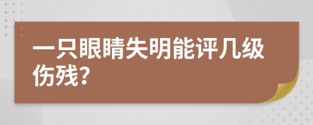 一只眼睛失明能评几级伤残？