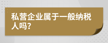 私营企业属于一般纳税人吗？