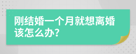 刚结婚一个月就想离婚该怎么办？