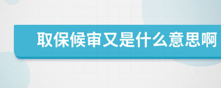 取保候审又是什么意思啊