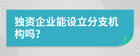 独资企业能设立分支机构吗？