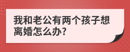 我和老公有两个孩子想离婚怎么办?