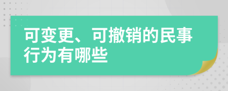 可变更、可撤销的民事行为有哪些