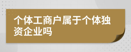 个体工商户属于个体独资企业吗