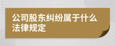 公司股东纠纷属于什么法律规定