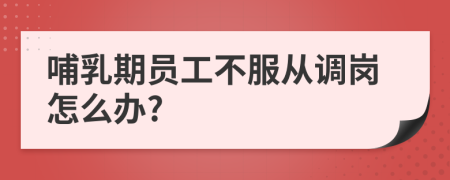 哺乳期员工不服从调岗怎么办?