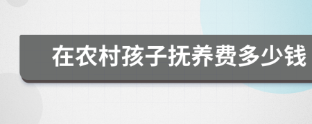 在农村孩子抚养费多少钱