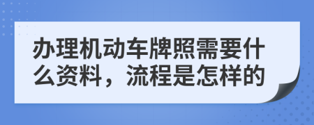 办理机动车牌照需要什么资料，流程是怎样的