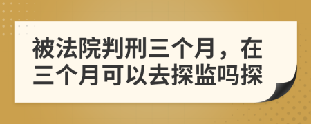 被法院判刑三个月，在三个月可以去探监吗探