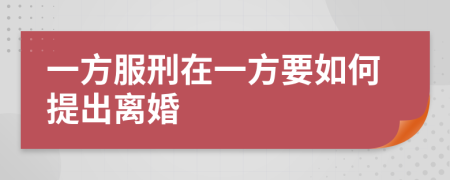 一方服刑在一方要如何提出离婚