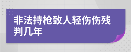 非法持枪致人轻伤伤残判几年