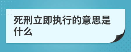 死刑立即执行的意思是什么