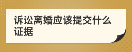 诉讼离婚应该提交什么证据
