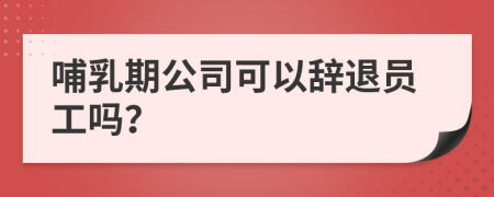 哺乳期公司可以辞退员工吗？