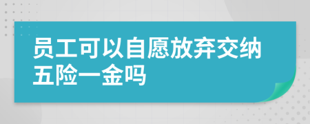 员工可以自愿放弃交纳五险一金吗