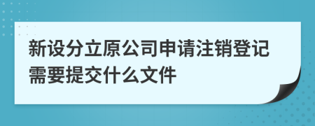 新设分立原公司申请注销登记需要提交什么文件