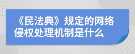 《民法典》规定的网络侵权处理机制是什么