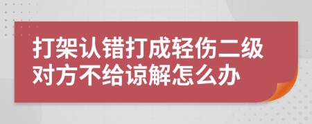 打架认错打成轻伤二级对方不给谅解怎么办