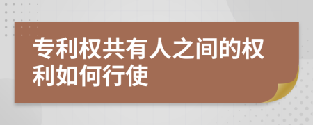 专利权共有人之间的权利如何行使