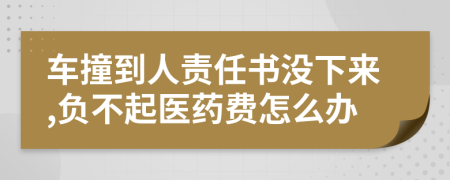 车撞到人责任书没下来,负不起医药费怎么办