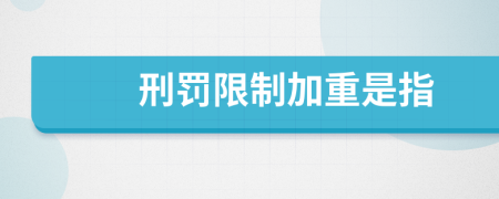 刑罚限制加重是指