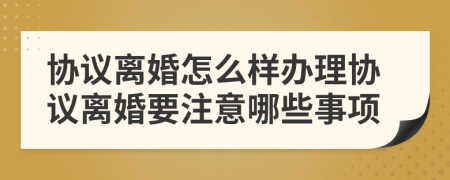 协议离婚怎么样办理协议离婚要注意哪些事项