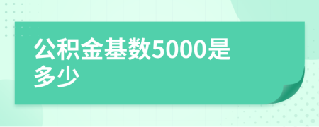 公积金基数5000是多少