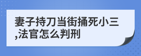 妻子持刀当街捅死小三,法官怎么判刑