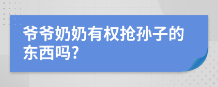 爷爷奶奶有权抢孙子的东西吗?