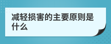 减轻损害的主要原则是什么