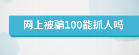 网上被骗100能抓人吗
