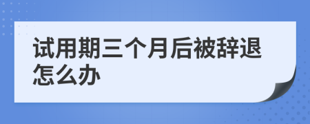 试用期三个月后被辞退怎么办