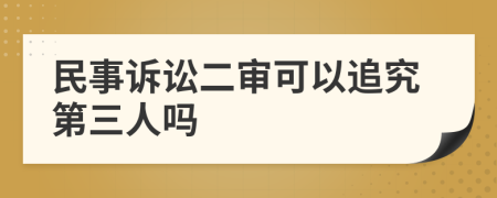 民事诉讼二审可以追究第三人吗