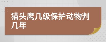 猫头鹰几级保护动物判几年