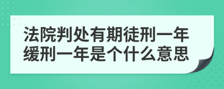 法院判处有期徒刑一年缓刑一年是个什么意思