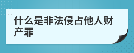 什么是非法侵占他人财产罪