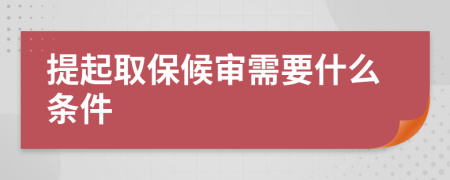 提起取保候审需要什么条件