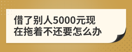 借了别人5000元现在拖着不还要怎么办