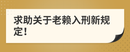 求助关于老赖入刑新规定！